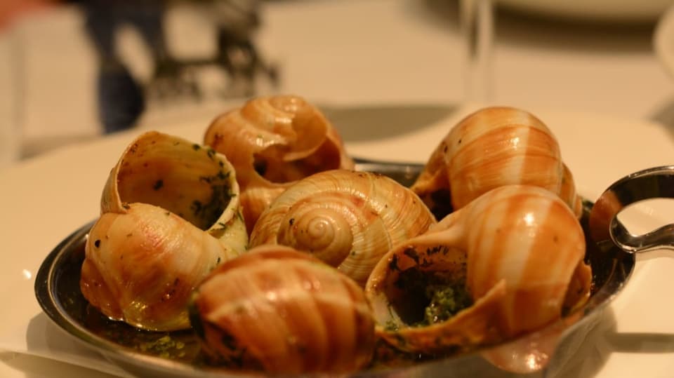 Brasseria Warszawska a šneci na talíři